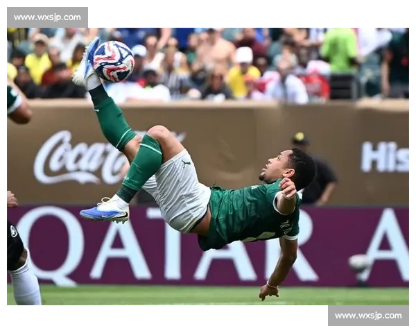 荷兰对阵巴西经典碰撞世界杯舞台上的速度与荣耀较量历史恩怨再燃